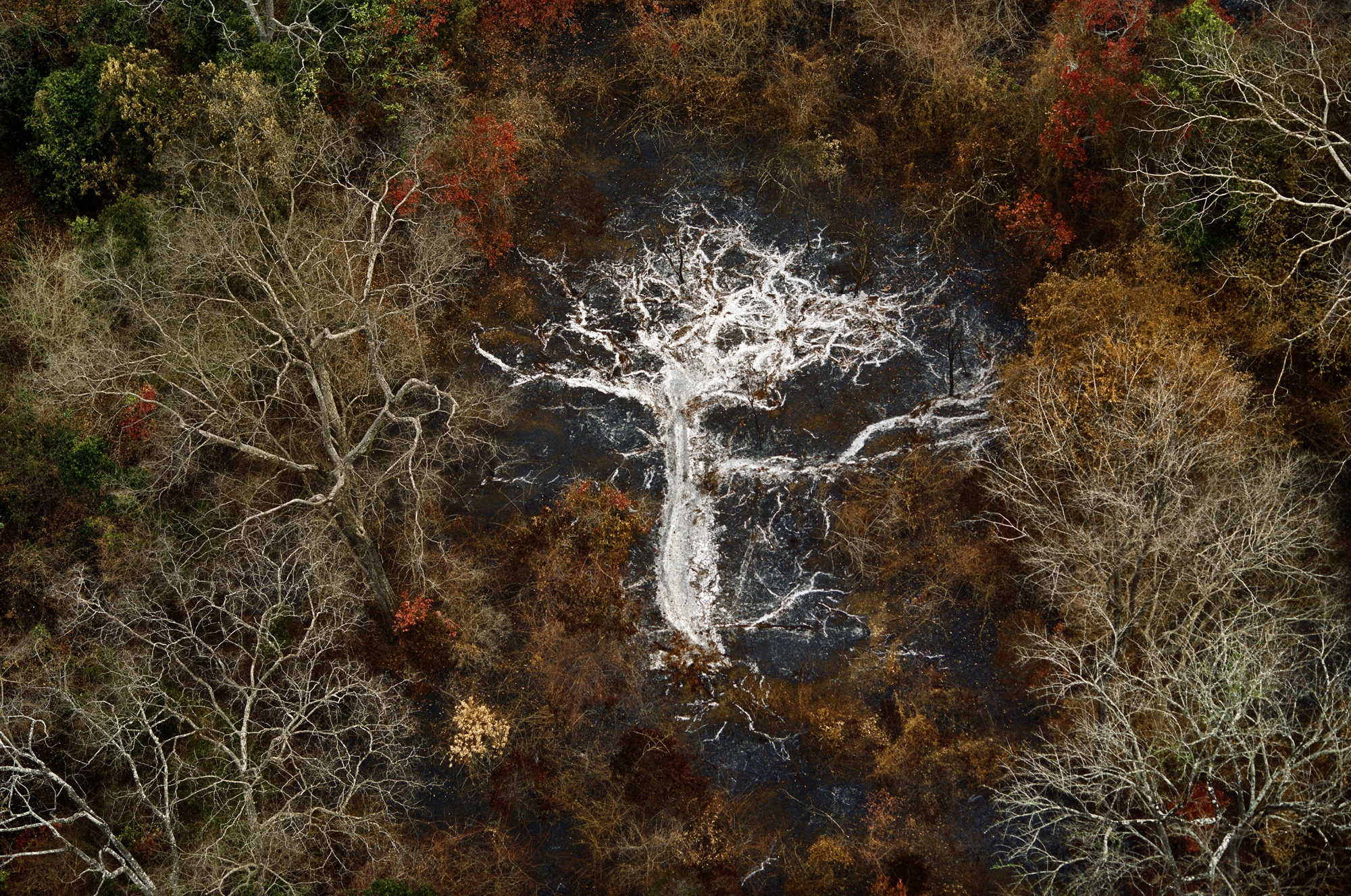 Photo Yann Arthus Bertrand