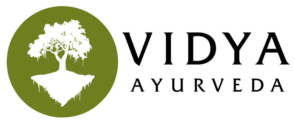 photo logo vidyal