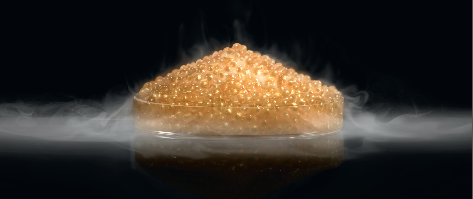 photo caviar