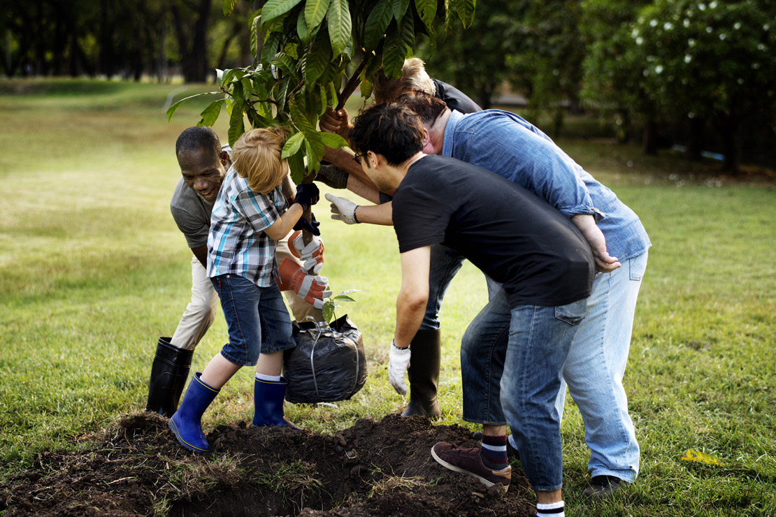 photo personne plantant un arbre