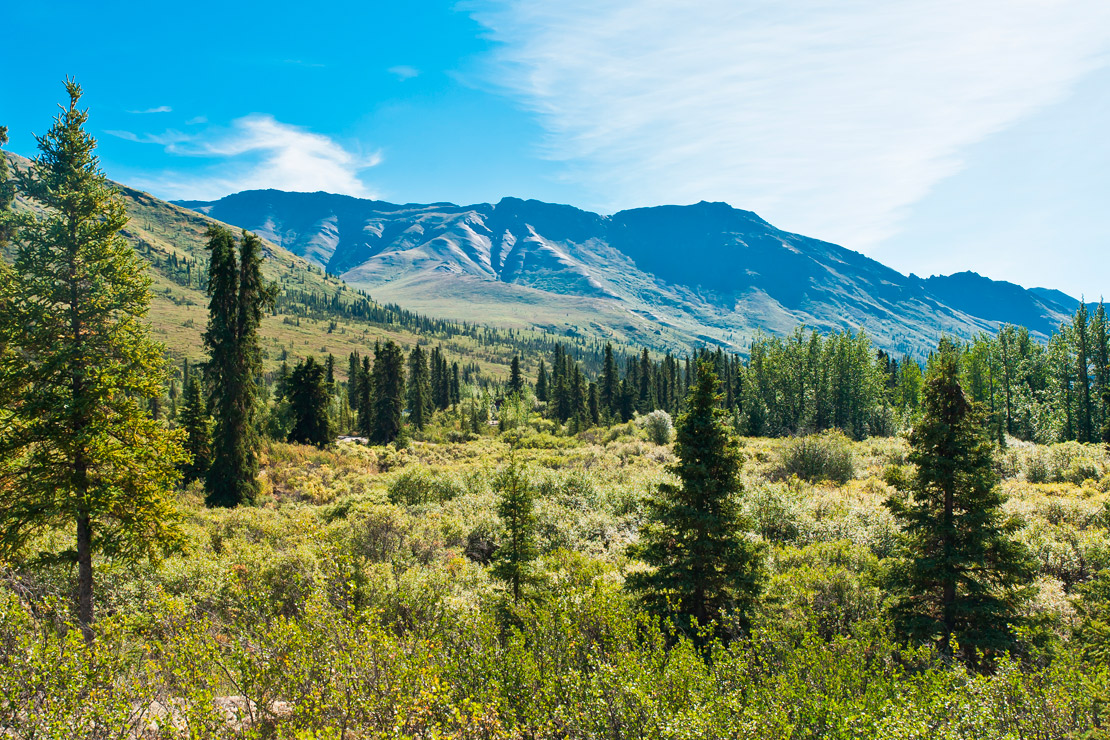 photo montage yukon