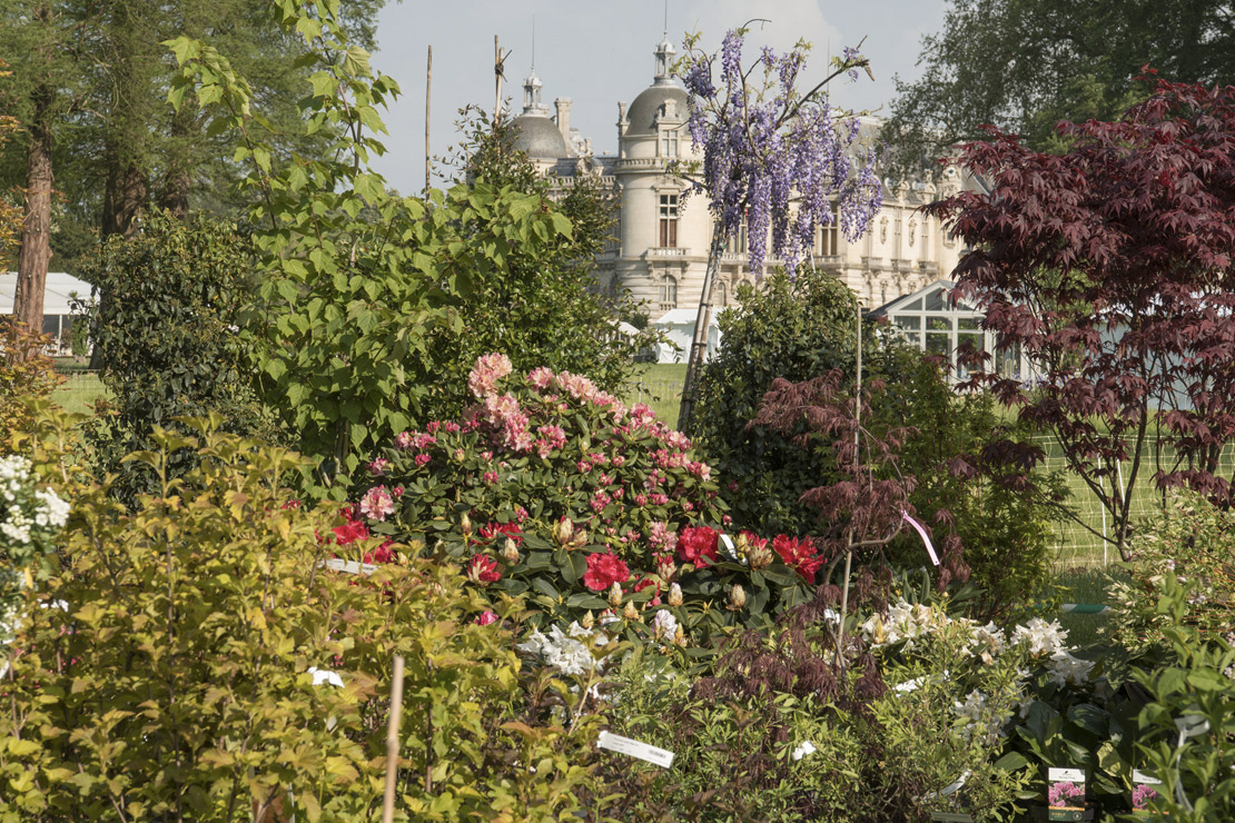 journees-plantes-chantilly-2