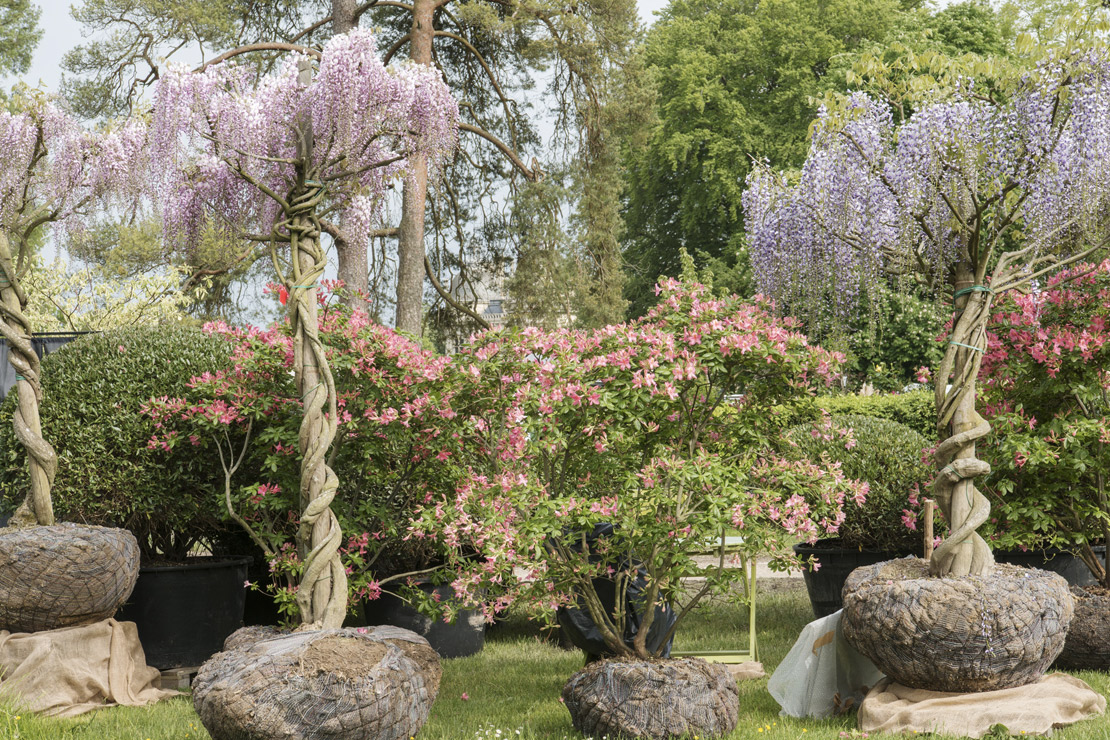 journees-plantes-chantilly