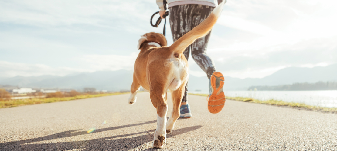 courir avec son chien