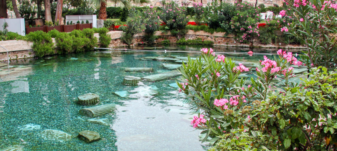 piscine naturelle