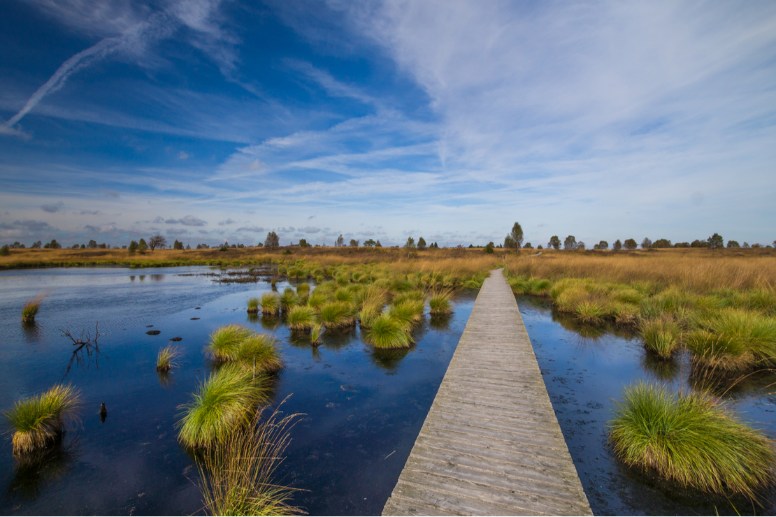 hautes-fagnes