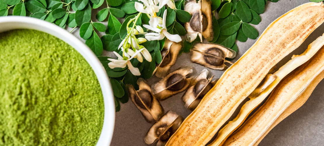 poudre_de_moringa