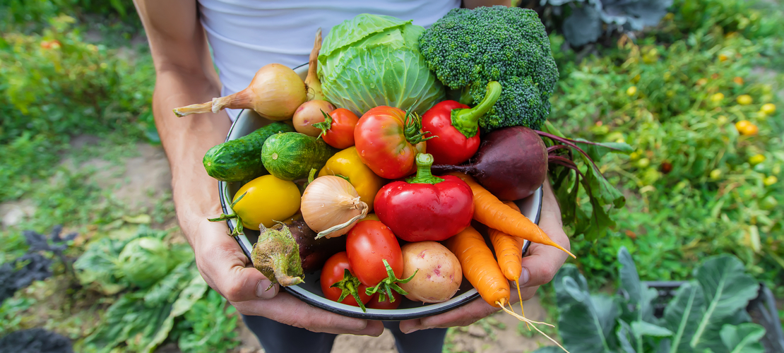 conserver les fruits et légumes