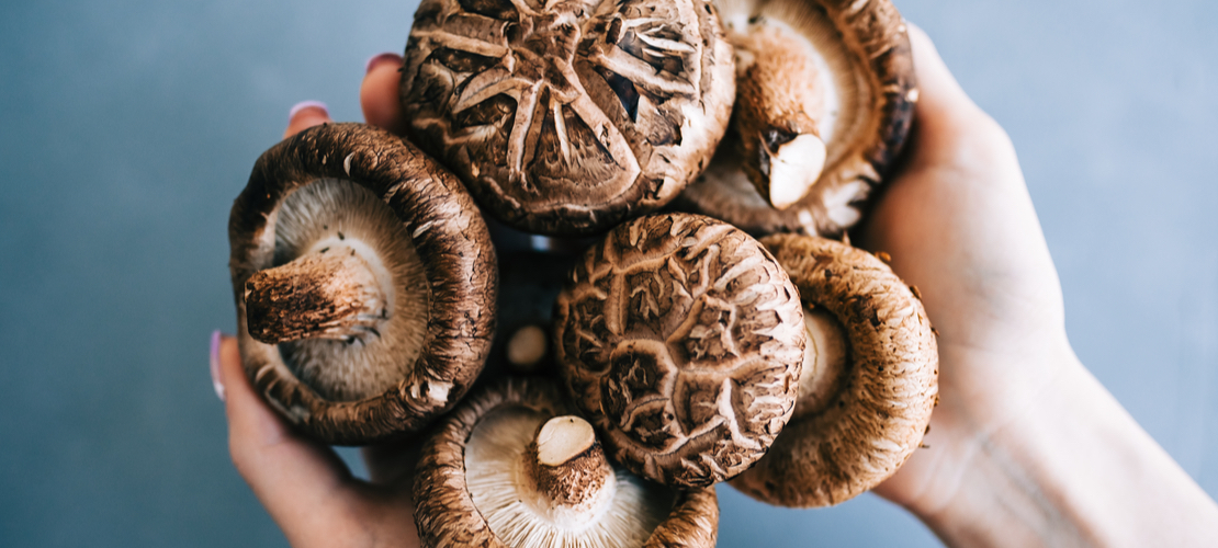 shiitake