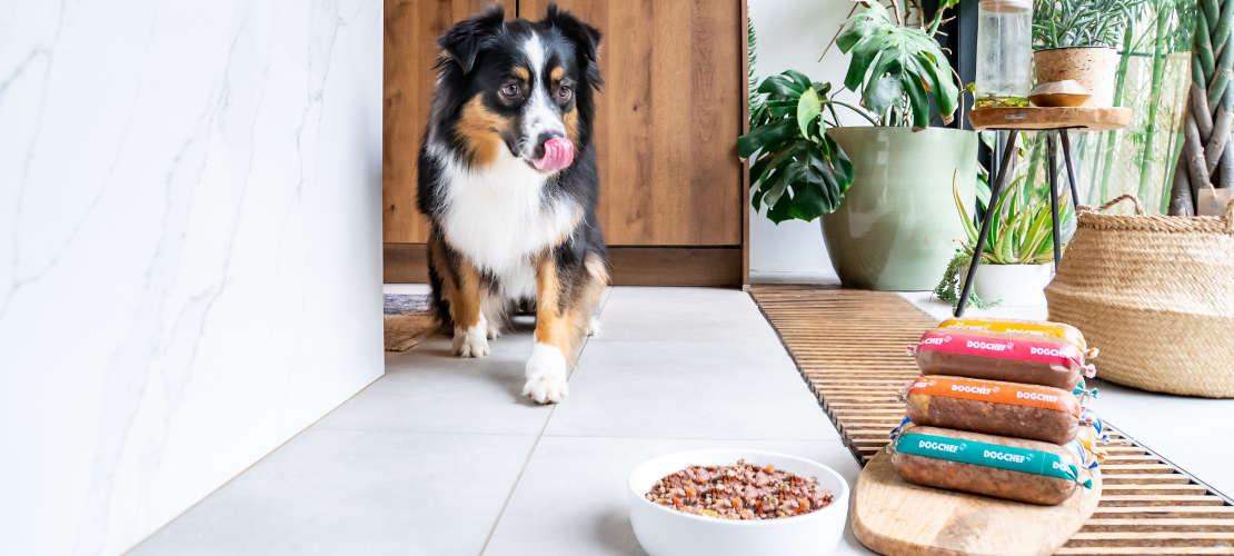 Gagnez votre boîte d’essai Dog Chef 100% personnalisée !