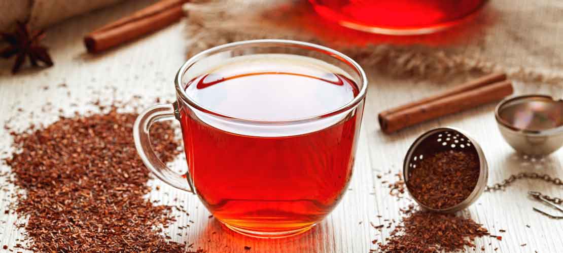 rooibos