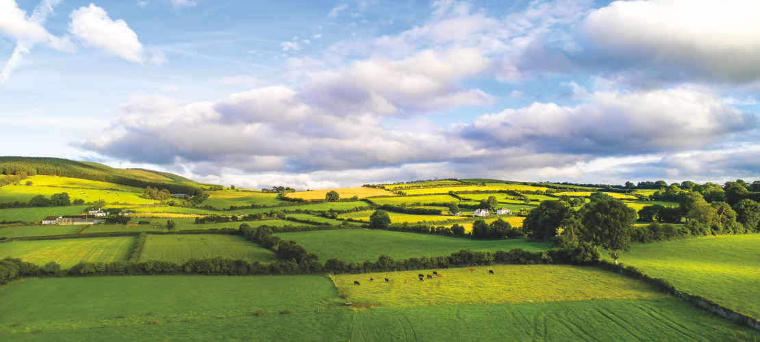 irlande