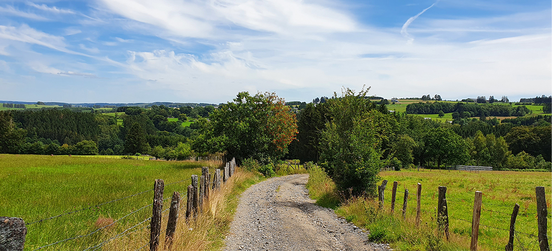 routes wallonië