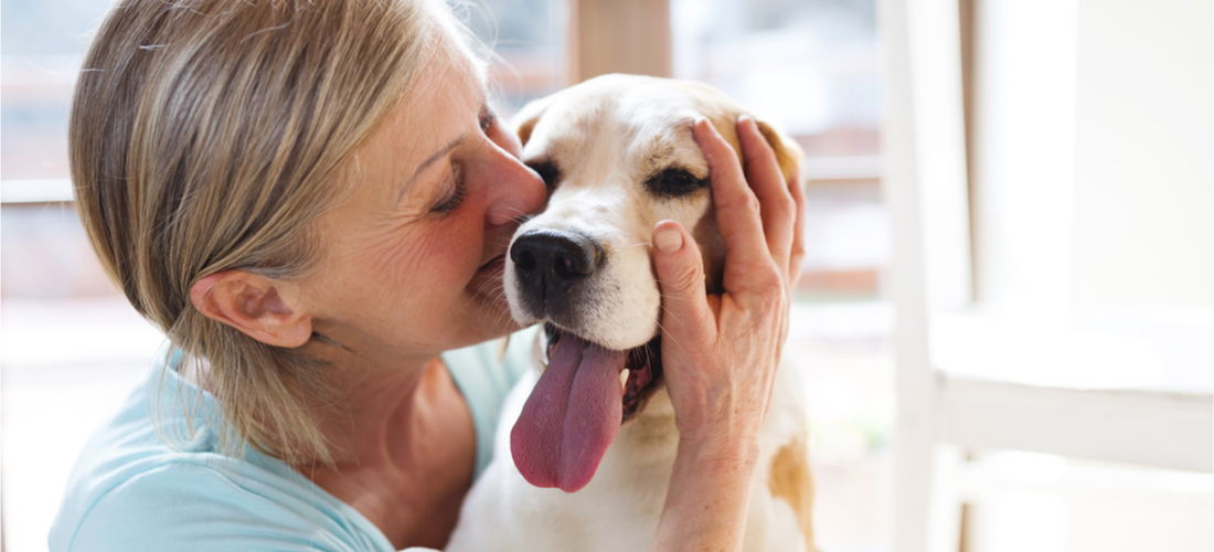 dementie bij honden