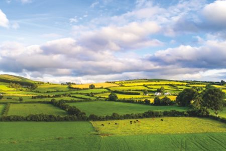 ierland